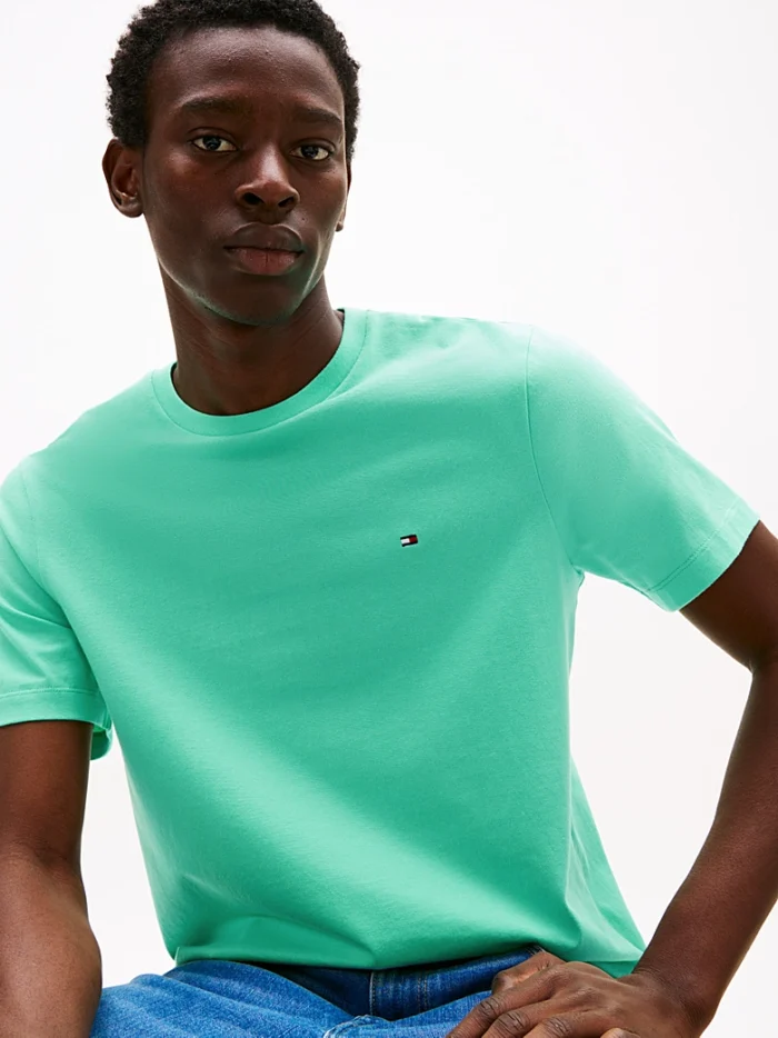 T-shirt Uomo Tommy Hilfiger Verde Acqua con Logo Frontale art. MW0MW39995 L47, foto 3 di 5
