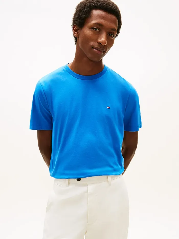 T-shirt regular fit in cotone Uomo Tommy Hilfiger Blu Chiaro con Bandierina ricamata art. MW0MW39995 C4U, foto 1 di 3