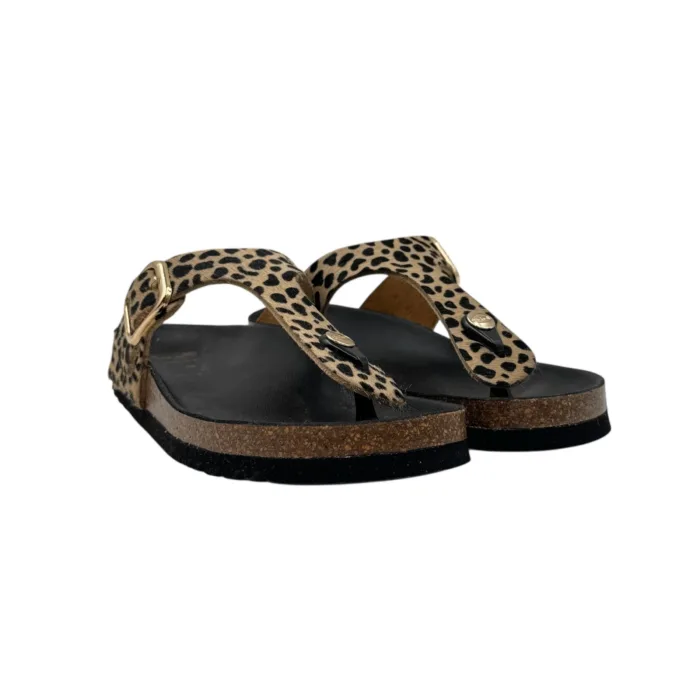 Sandalo Infradito Scholl in Cavallino Leopardato 3,5 cm art. Anais F00629 1850, foto 2 di 4
